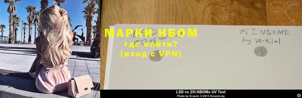 стаф Верея